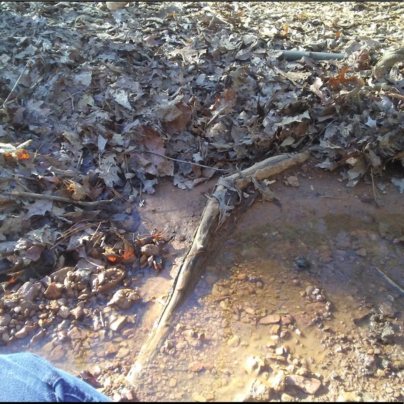 5 random pieces natural Staurolite specimens - Picture 6 of 11